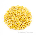 Fd Super Sweet Corn Kernel Frozen Essiccato